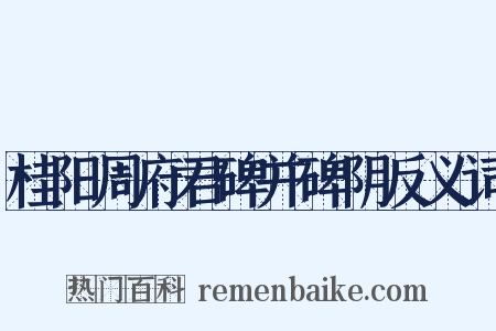 桂阳周府君碑并碑阴反义词是什么意思的图片